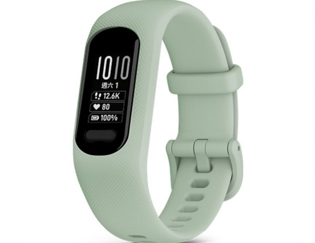 GARMIN vivosmart 5 ,Asia,White, S/M 進階版健康心率手環