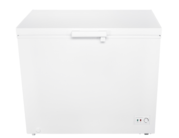 TECO東元-臥式冷凍櫃 300L (RL3002W)