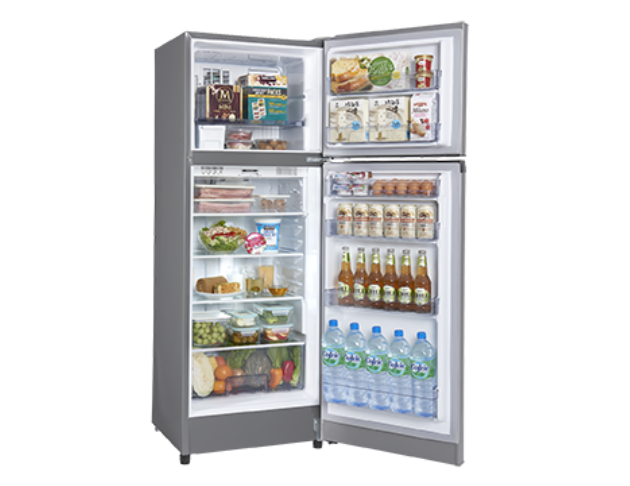 SAMPO聲寶-鋼板變頻冰箱系列 SR-C25D(G6) 250L