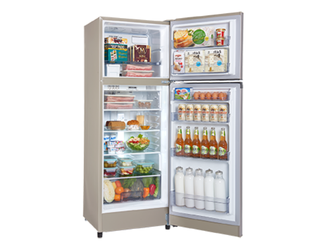 鋼板變頻冰箱系列 SR-C25D(Y9) 250L