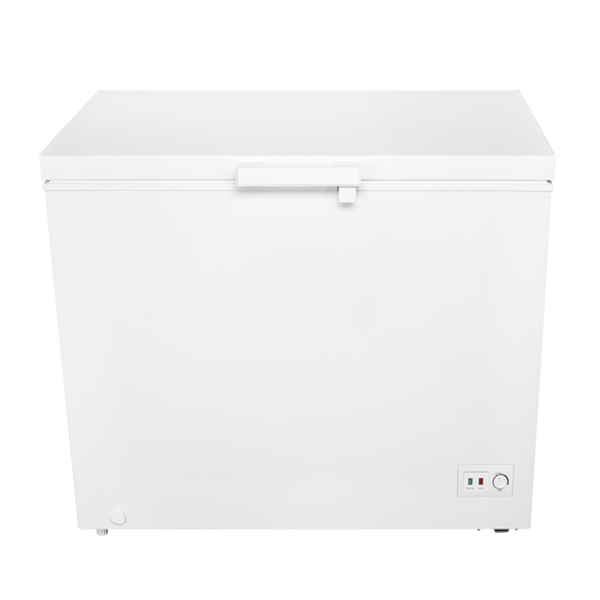 TECO東元-臥式冷凍櫃 300L (RL3002W)