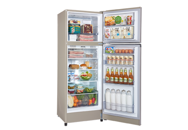 鋼板變頻冰箱系列 SR-C25D(Y9) 250L