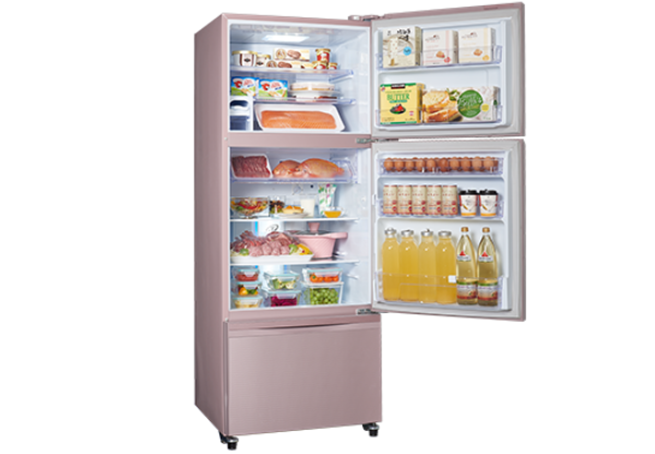 SAMPO聲寶-玻璃變頻冰箱系列 SR-C48GDV(P2) 475L