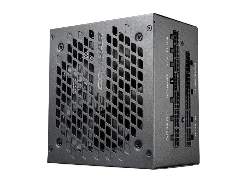 【COUGAR 美洲獅】GEX X2 1000w 金牌電源