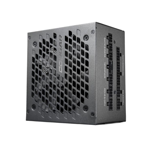 【COUGAR 美洲獅】GEX X2 1000w 金牌電源