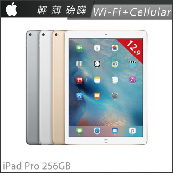 【256G】iPad Pro12.9Wi-Fi +Cellular