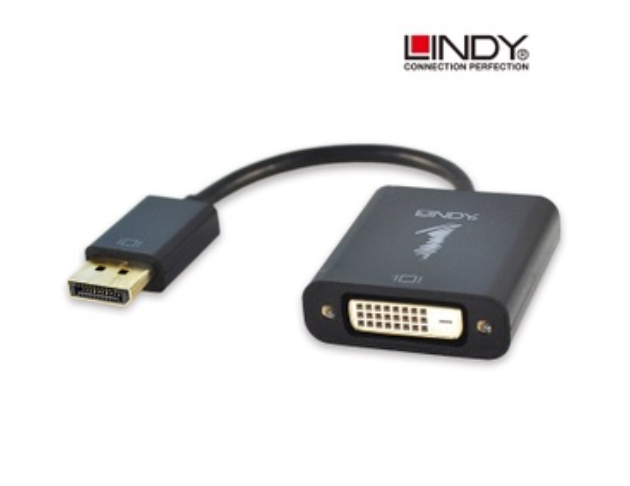 林帝LINDY－主動式 DisplayPort 轉 DVI 轉接器 1